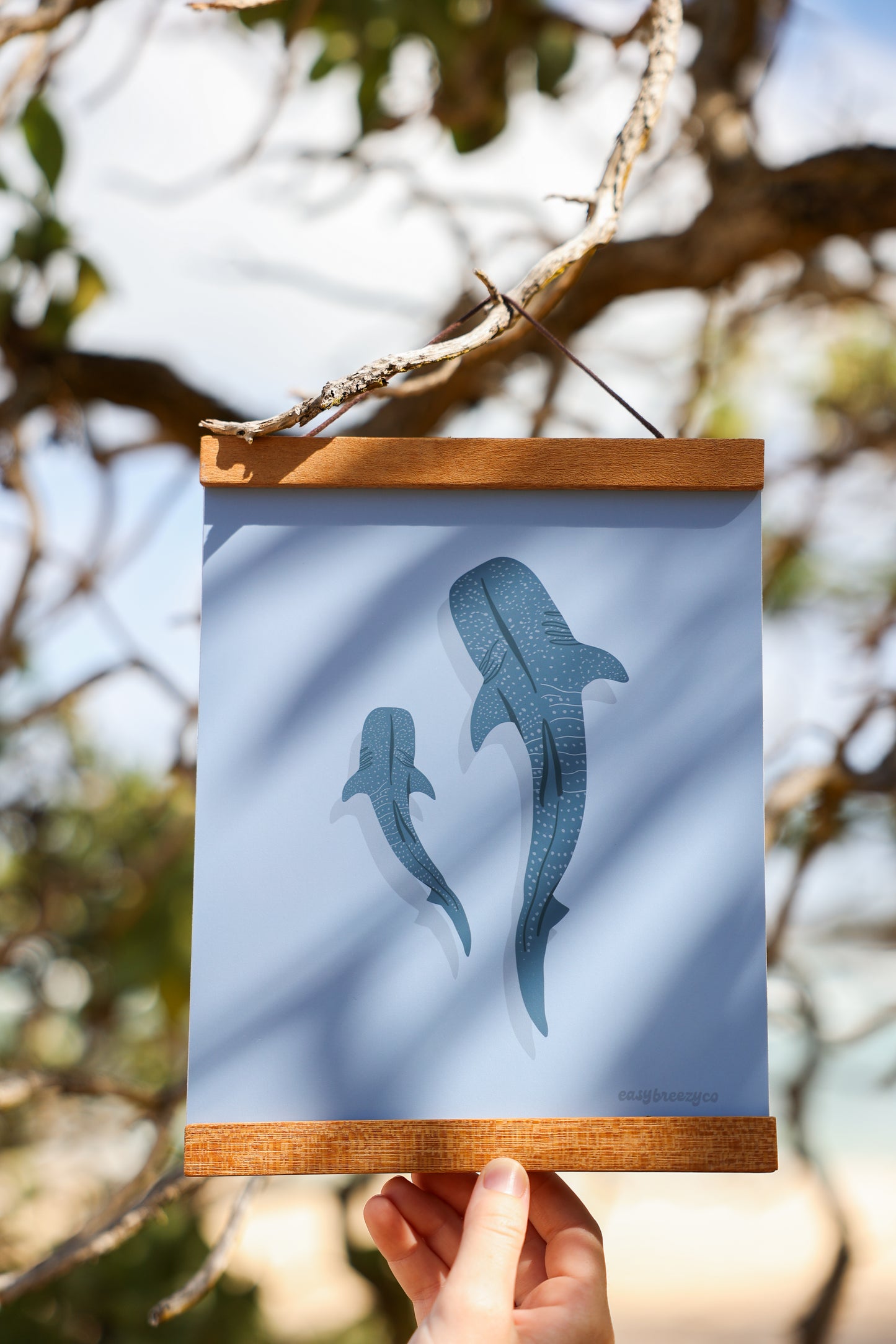 'Whale Shark' Print