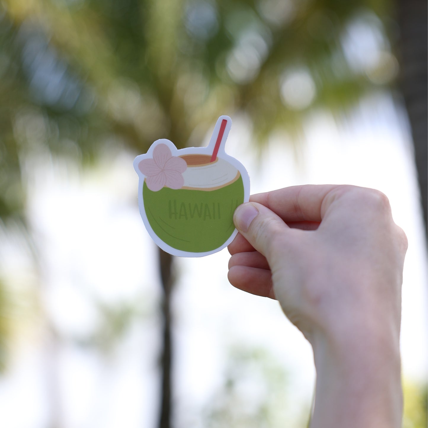'Coconut' Sticker