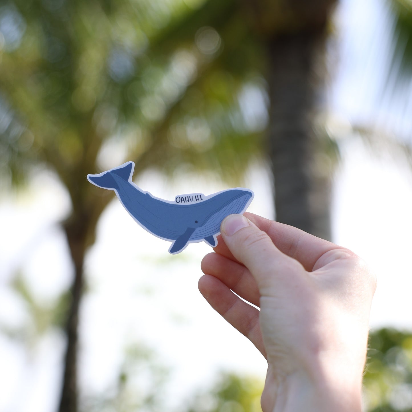 'Whale' Sticker