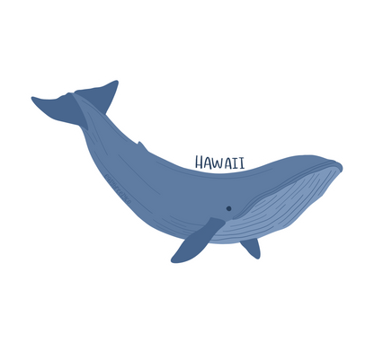 'Whale' Sticker